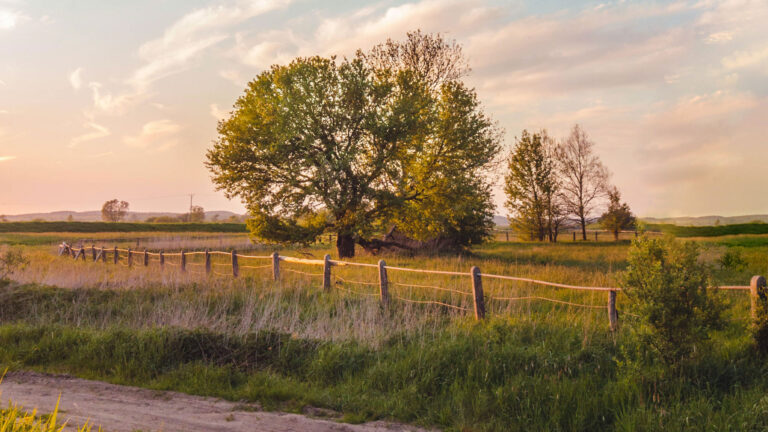 Tercera edición de Nanoformación RC30